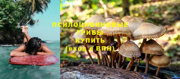 герыч Касимов