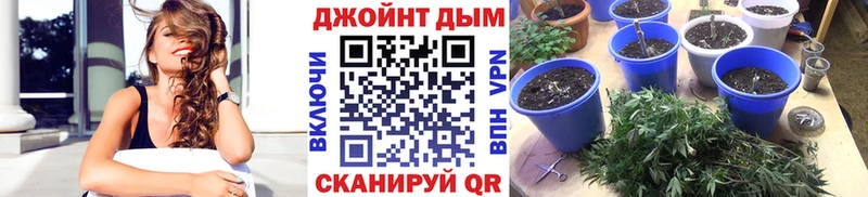 Купить  Ильский  Канабис гибрид 